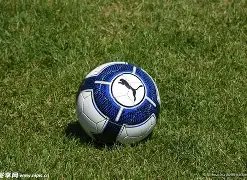 巴黎奥运削,减预算,奥运村床位,欧博官网,ABG欧博官网,欧博官网在线娱乐平台