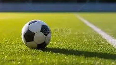 广州联队蓄势待发：新星军团启程西征，西班牙、法国赛场展翅翱翔！